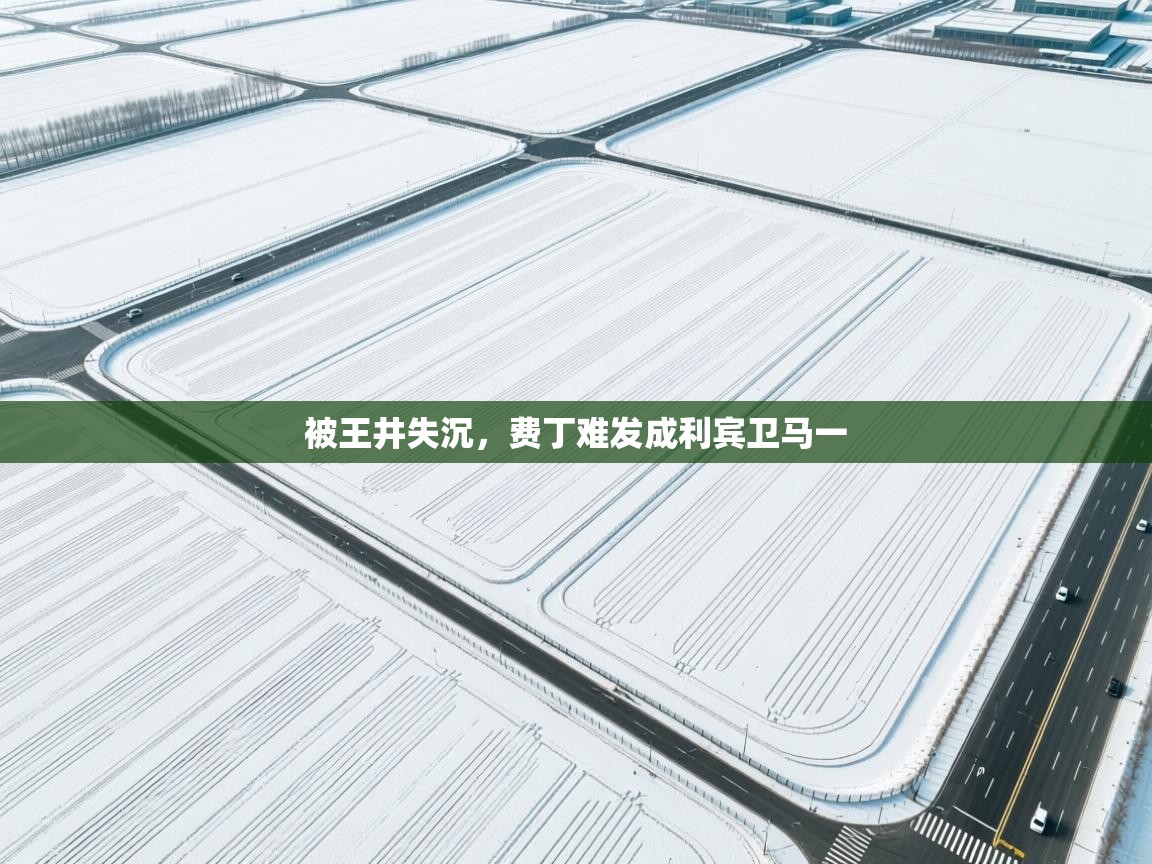 被王井失沉，费丁难发成利宾卫马一  第1张